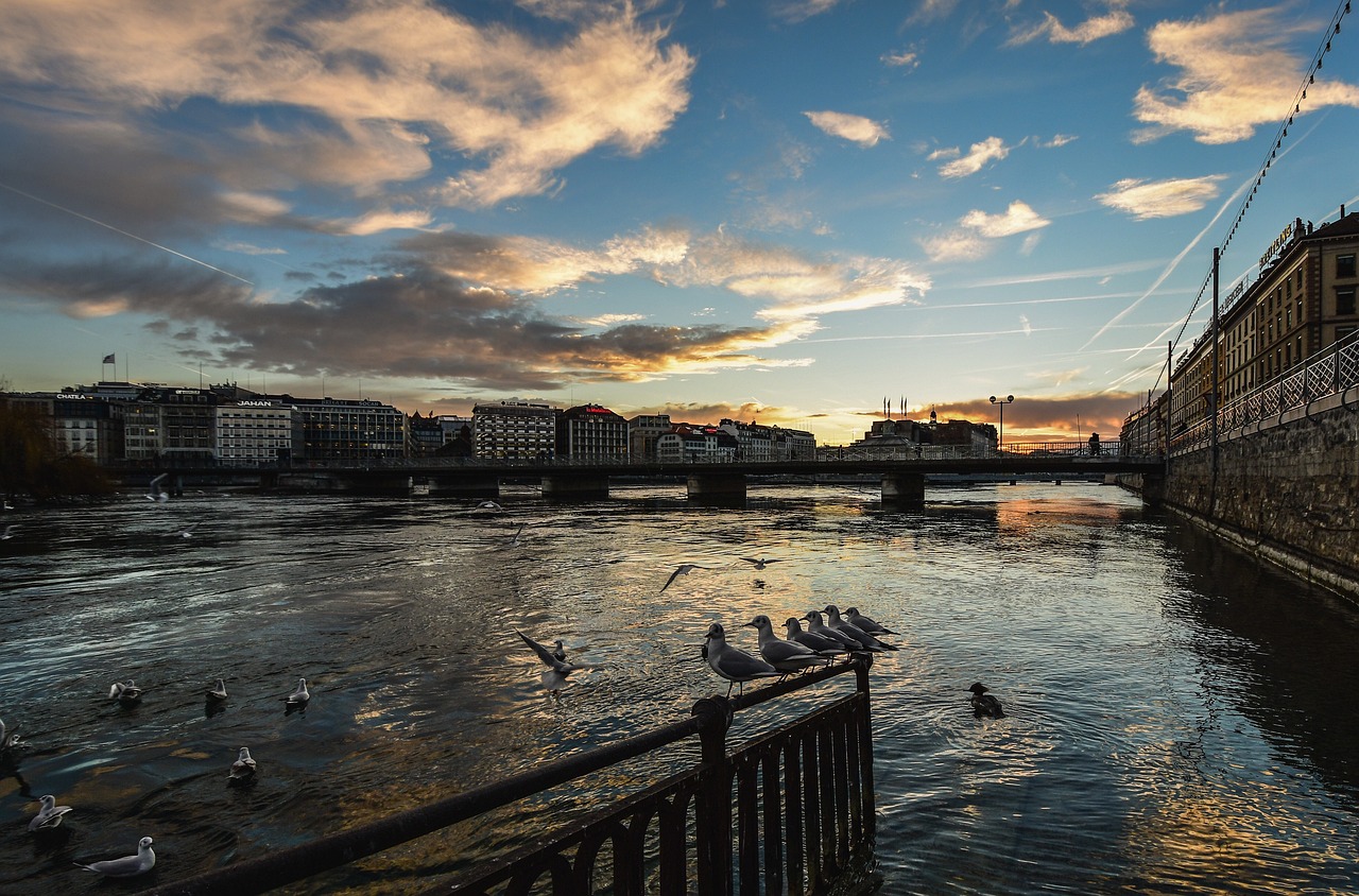 Geneva travel guide: Sunset view over the Rhône River in Geneva, with seagulls perched by the water and city buildings in the background.